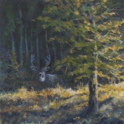 Mule Deer - Out of the Shadows - Painting size 8" x 9" = $800
