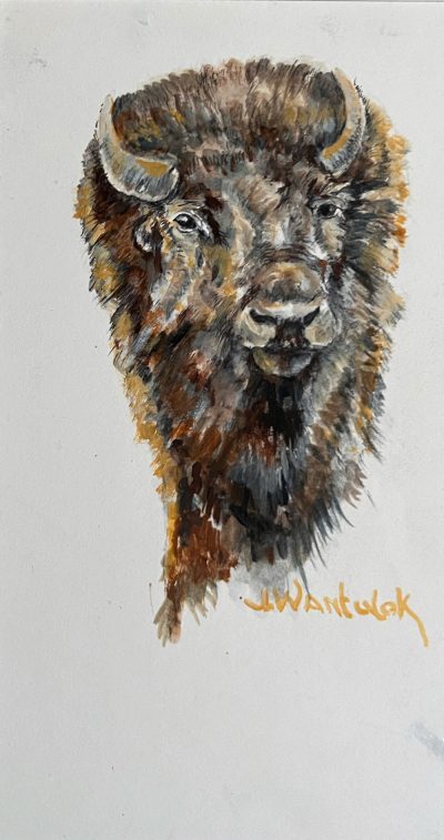 Bison Stare Down - Painting size 4.5" x 8.5". Framed size 12.5" x 16.5". Price = $750
