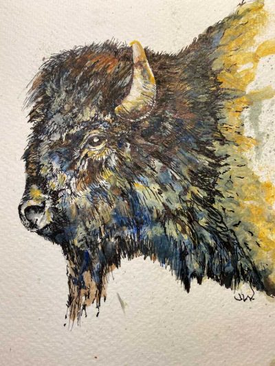 Bison - Sketch book - Not for sale