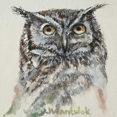 Great Horned Owl. This was created as I observed a pair of mating Great Horned Owls in our back yard this summer- Painting Size 5" x 7". Framed 15" x 17". Price = $500