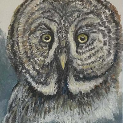 Great Grey Owl. Painting size 6" x 8". Framed 14" x 16"