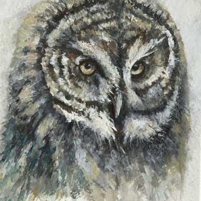Great Grey Owl. Painting size 5" x 7". Framed 13" x 15". Price = $500