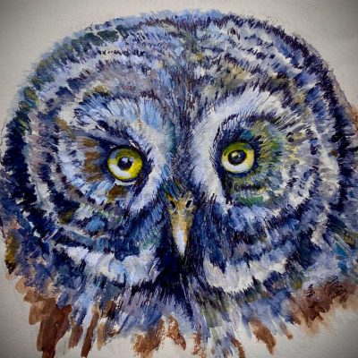 Great Grey Owl - Sketch book - Not for sale