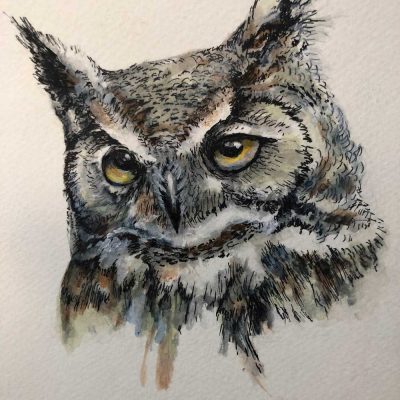 Great Horned Owl - SOLD