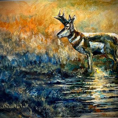Pronghorn's one last drink - Painting size 12" x 10". Framed size 17" x 15". Price = $1100