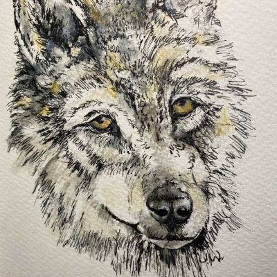 Wolf - Sketch book - Not for sale