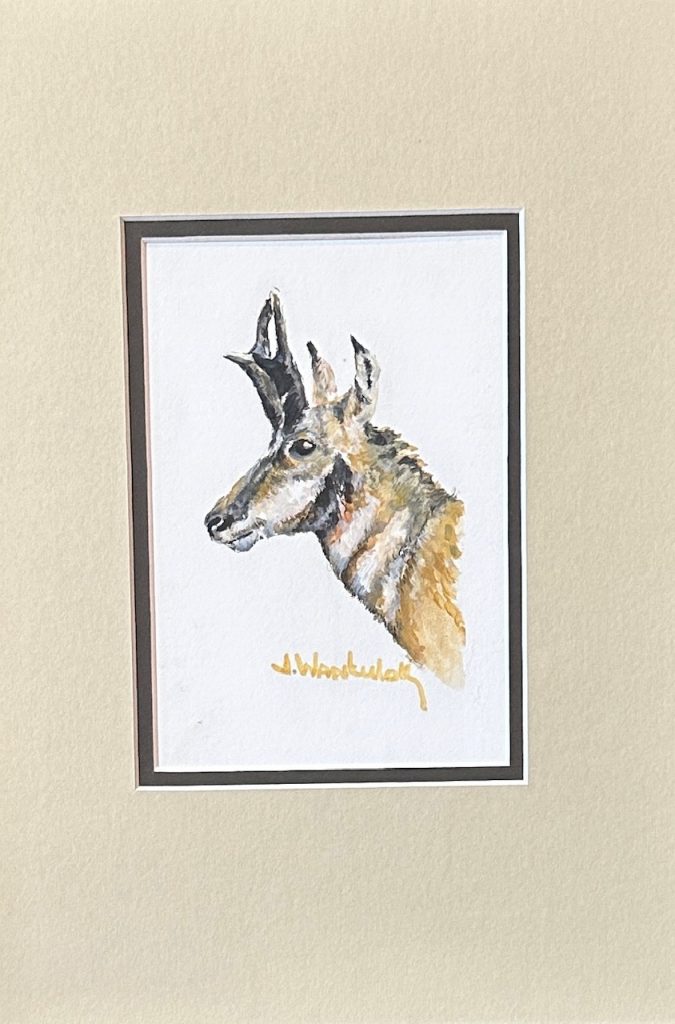 Antelope. Painting Size 5" x 7", Framed Size 11" x 15". Price = $800