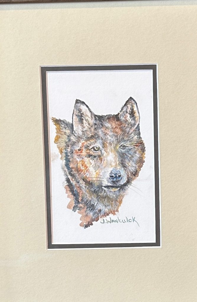 Wolf. Painting Size 5" x 7", Framed Size 11" x 15". Price = $800