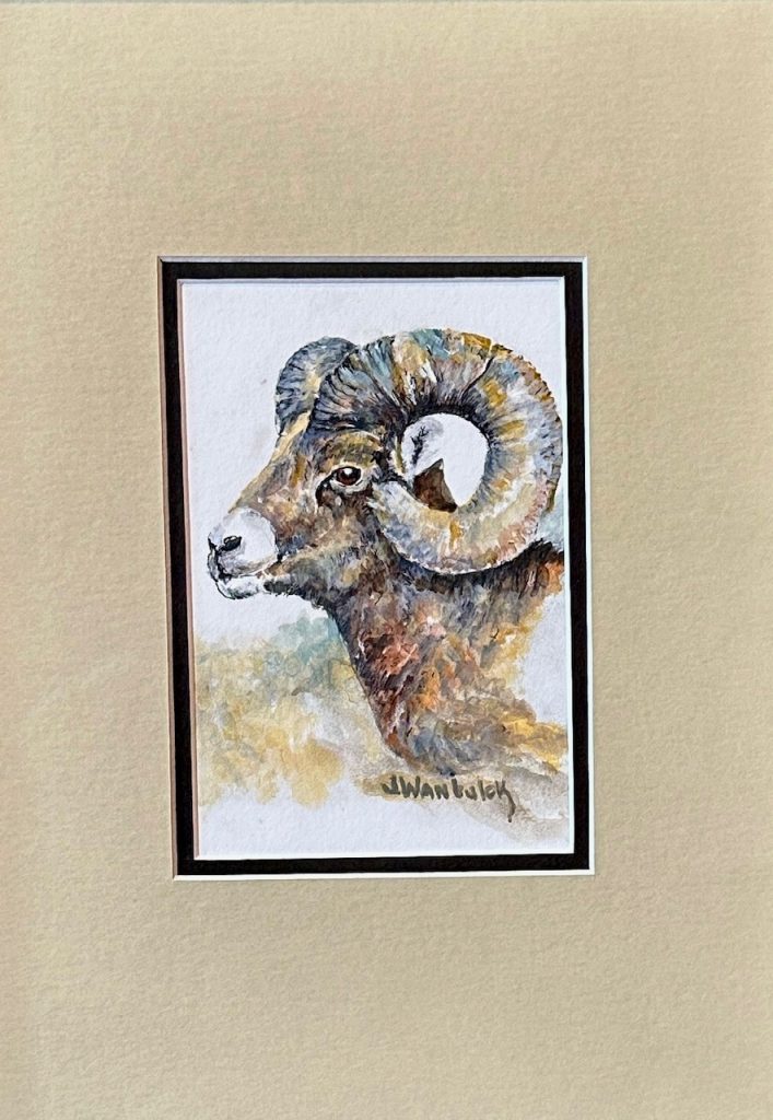 Big Horn Sheep. Painting Size 5" x 7", Framed Size 11" x 15". Price = $800
