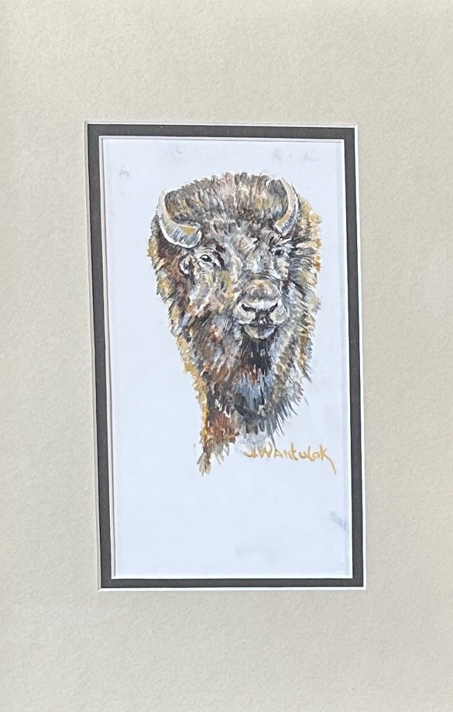 Rutting Bison are super cool. Painting Size 5" x 7", Framed Size 11" x 15". Price = $800